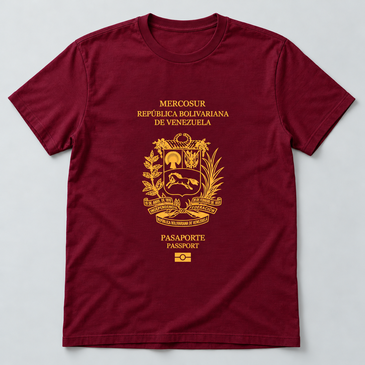 Camiseta Pasaporte Venezuela