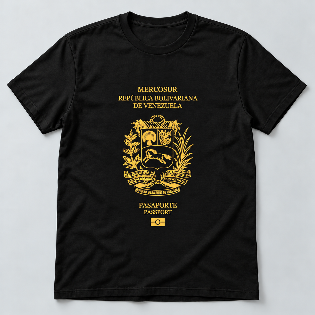 Camiseta Pasaporte Venezuela